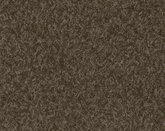 [1001111134_9] Showtime Graphic loft - 946273 sandstone